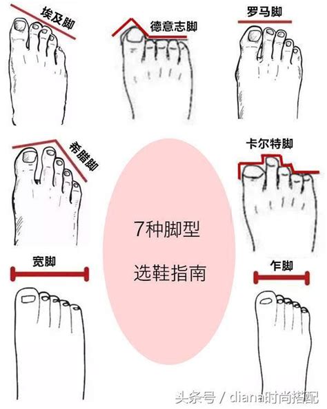 腳背厚面相|【腳背厚面相】不再瞎猜！30種腳相大解密，腳背厚竟然能看出富。